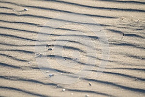 Close-up of sand texture with wavy pattern