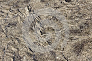 Close up of the sand after the tide had gone out