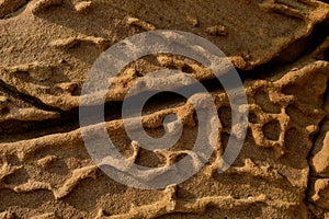 Close up sandstone texture with small caverns, natural surface divided by huge cracks. Background on theme geology