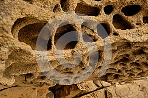 Close up sandstone texture with small caverns, natural surface divided by huge cracks. Background on theme geology