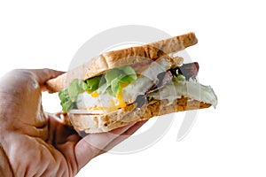Close up sandwich in hand isolated on white background