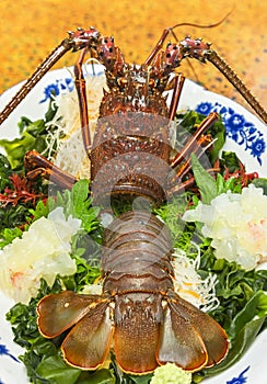 Close-up on sashimi japanese cuisine of fresh Ise-ebi spiny lobster with green algae.