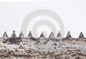 Close up saw blade on white background