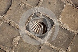 Close up of scallop shell set in cobbled street in Bruges