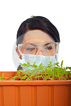 Close up of scientist examine new plants leaf