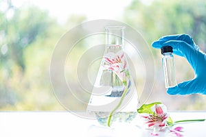 Close up scientist hand holding essential oils with fresh flower. Lab research for scent extract for the new skincare product