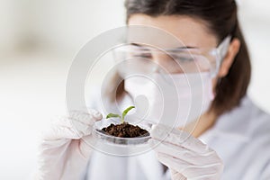 Close up of scientist with plant and soil in lab