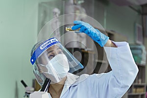 Close up Scientist woman hands look at Glass Petri Dish use Microscope research in science laboratory. Crop women hands