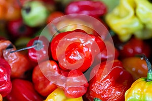 Close up of scotch bonnet peppers on a UK market stall