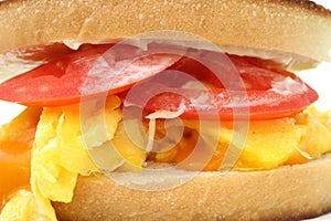 Close Up of a Scrambled Egg and Cheese Sandwich