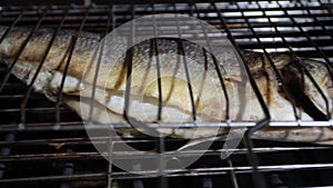 Close-up, a sea bass fish grills