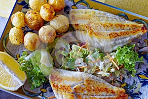 Close up of sea bream fish with potato