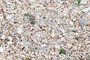 Close-up of sea sand structure from the coast