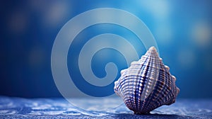 A close up of a sea shell on top of blue background, AI