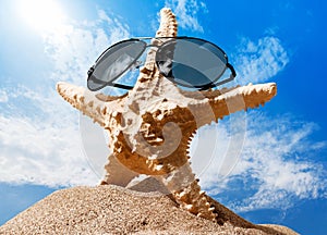 Close-up sea star with sunglasses on sandy beach