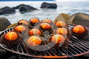 close-up of sea urchins grilling on a beach bbq
