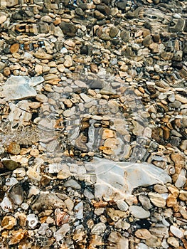 Close up sea waves stones shells beach summer day. top view above transparent water.