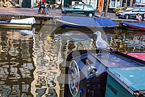 Seagull sits on boat in canal of Amsterdam