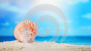 Close up seashell on sand beach and blurred beach background summer time concept.