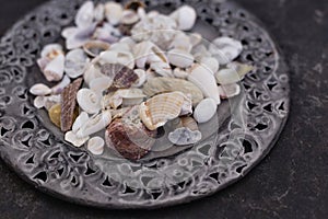 Close up of seashells on metal plate