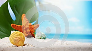 Close up seashells with starfish on sand beach and blurred beach background summer time concept.