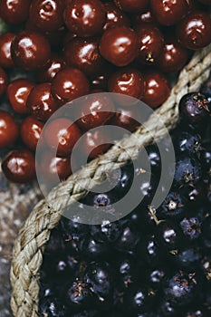 Close up of  seasonal  fresh juicy ripe shadbush saskatoon berries and cherries