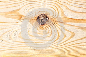 A close-up of a section of a tree with the image of bifurcated rings on the trunk appearing with aging and longevity in the form
