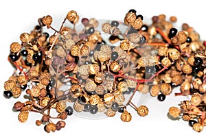 Close-up of seeds and fruits Sichuan Pepper Zanthoxylum piperitum on white background. Zanthoxylum americanum photo