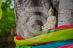 Close up of selective focus of beautiful Buddha in a tree in Ayutthaya Province