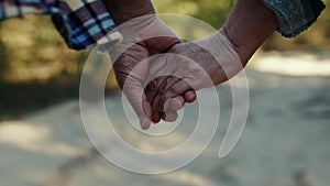 Close-up of senior couple hands, holding. Couple, man and woman walking in forest on warm sunny day