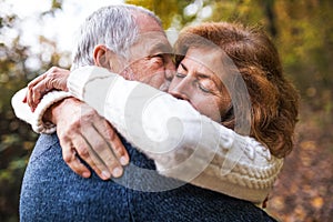 A close-up of a senior couple hugging in an autumn nature, kissing.
