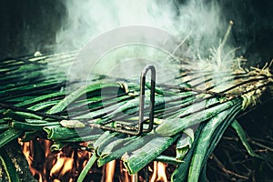 Close-up of several calçots cooking with a barbecue fire, "Calçotada". typical catalan food