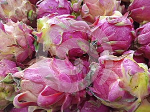 Close up several of dragon fruit