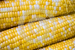 Close up of several ears of corn