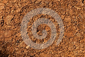 Close-up with shallow depth of field. Surface of pressed cork wood. Orange warm background