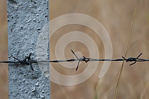 Close-up of sharp barbed wire Area boundary fence