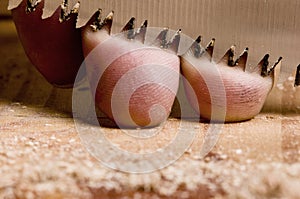 Close-up of sharp hand saw blade and fingers of carpenter or worker, concept image safety and security at workplace. Risk