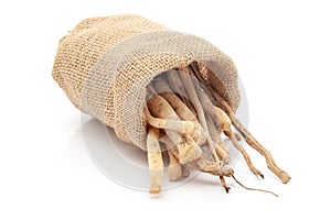 Close-up of Shatavari roots, in laying jute bag over white background.