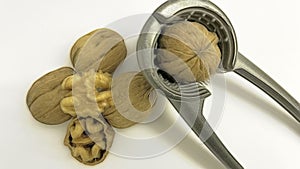 Shelled walnuts and nutcracker