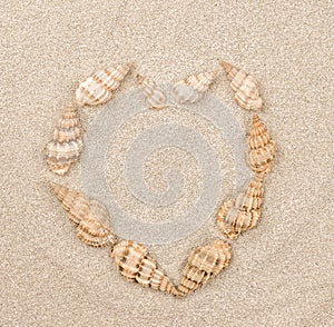 Close up of shells on sand texture. Background from fine sand. Seashells laid out in the shape of a heart