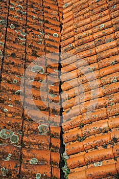 Shingles on roof covered by moss and lichens