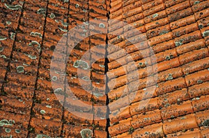 Shingles on roof covered by moss and lichens