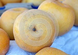 Close up on Shinko Asian Pears on display at Farmers Market