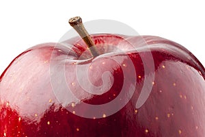 Close up Shiny Red Apple Isolated