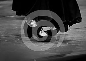 Close up shoes of a dancer during the Flamenco Tree El ÃÂ¡rbol del flamenco musical show part of the Flamenco Festival ( photo