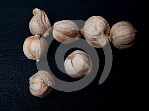 Close up shoot of Kapulaga jawa Wurfbainia compacta photo