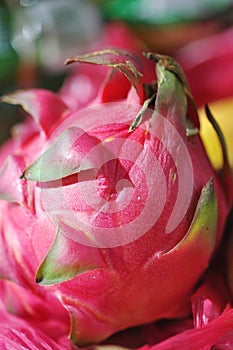 Close Up shoot of Pitahaya fruit