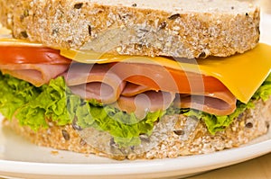 Close-up shoot of a Sandwich with rich Salad