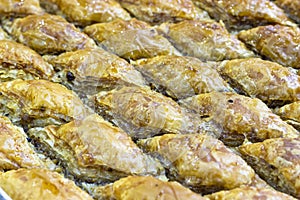 Close-up shoot of turkish traditional baklawa under clean light