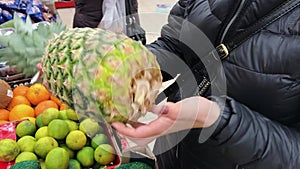 Close up shooting of female hand choosing fresh pineapple